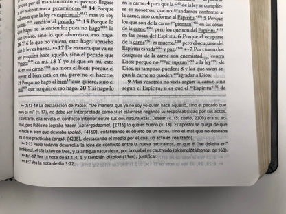 Biblia RVR 1960 de Estudio Palabra Clave Piel Negro