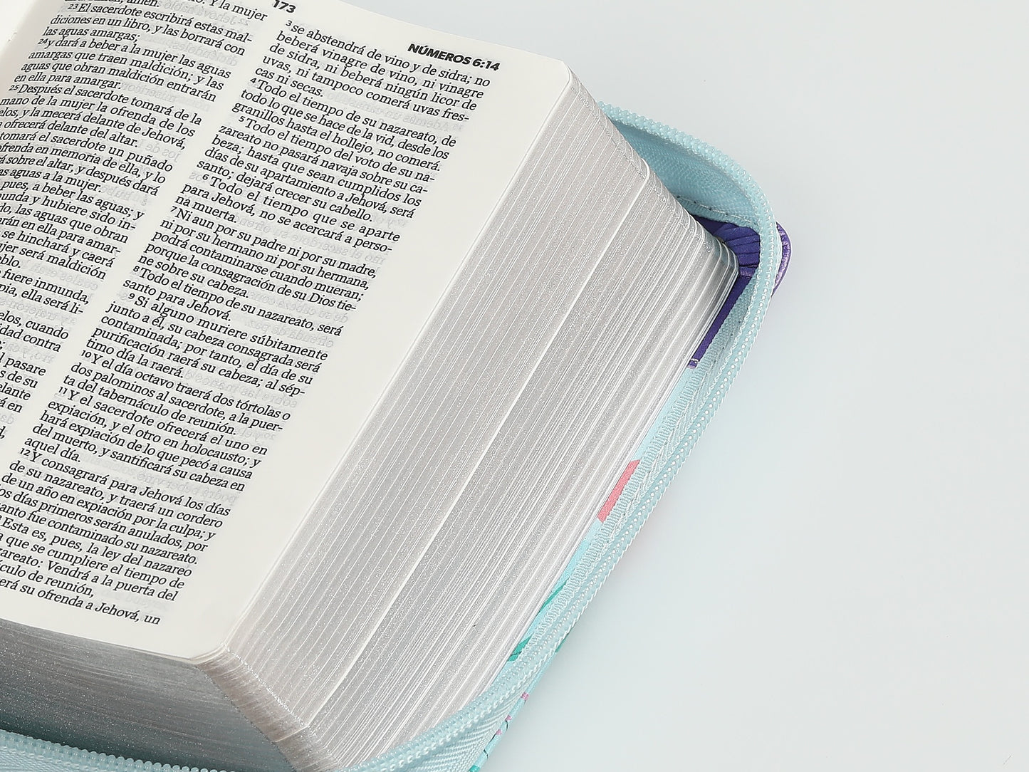 Biblia RVR60 de bolsillo Mariposa