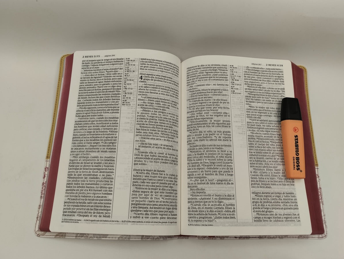 Biblia NTV Letra Grande Ultrafina