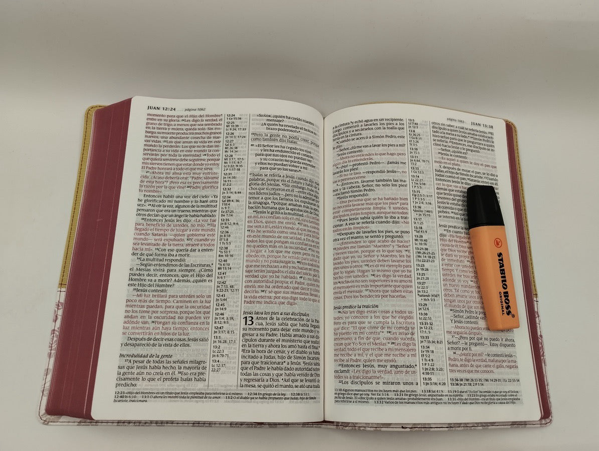 Biblia NTV Letra Grande Ultrafina