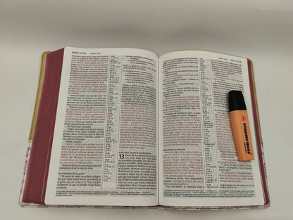 Biblia NTV Letra Grande Ultrafina