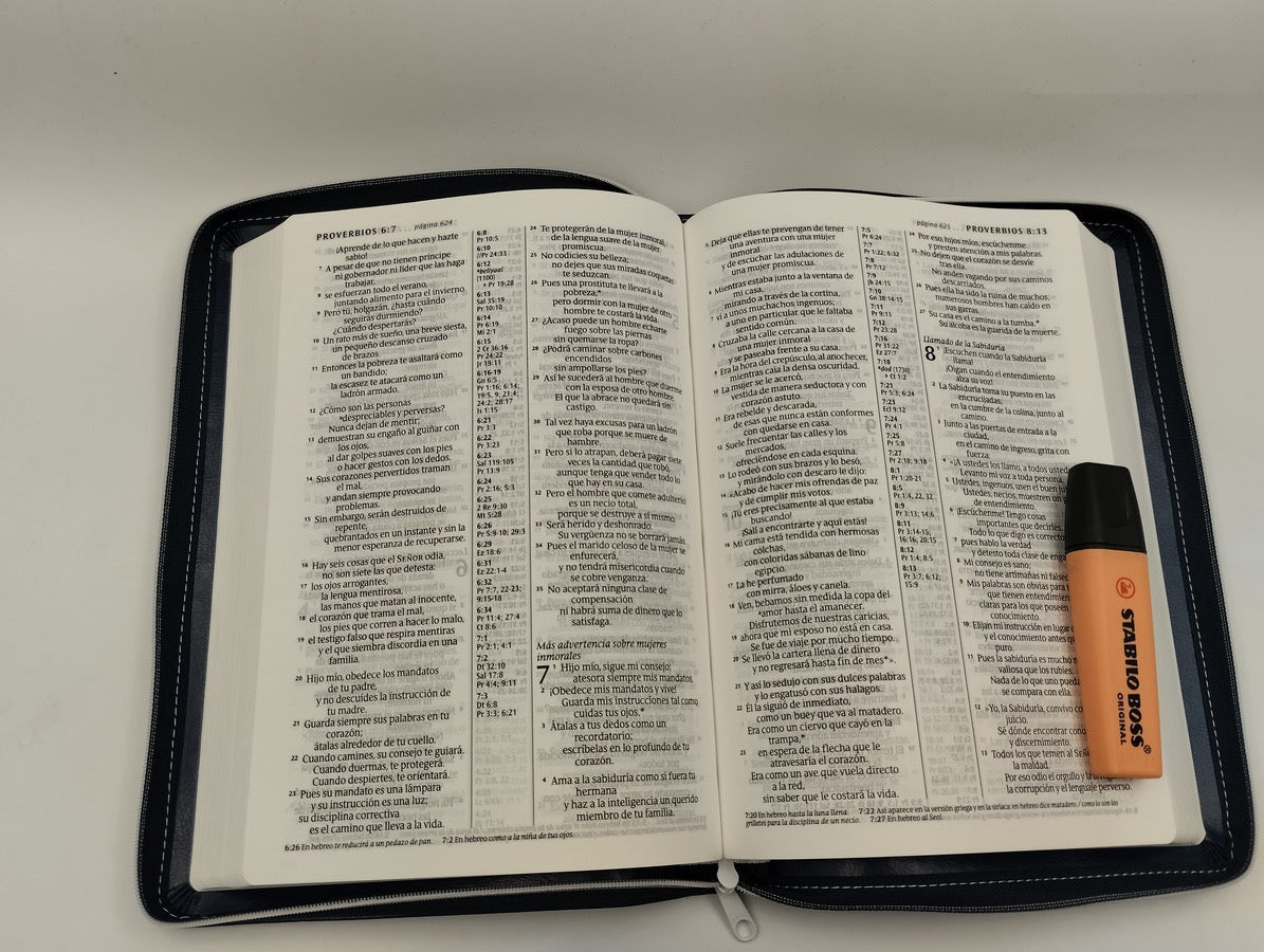 Biblia NTV Letra Grande Ultrafina