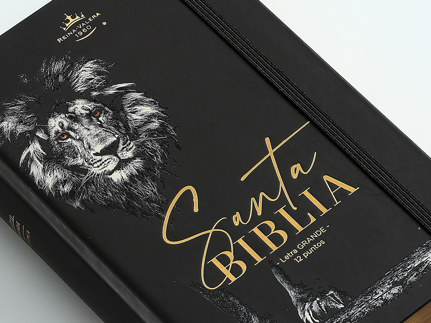 Biblia RVR60 tamaño manual letra grande tapa dura león