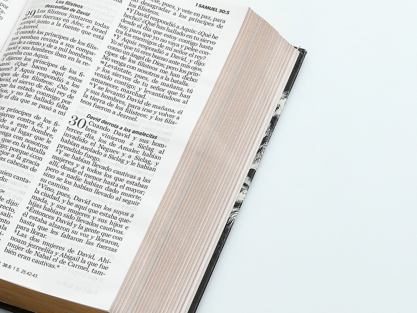 Biblia RVR60 tamaño manual letra grande tapa dura león