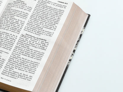 Biblia RVR60 tamaño manual letra grande tapa dura león