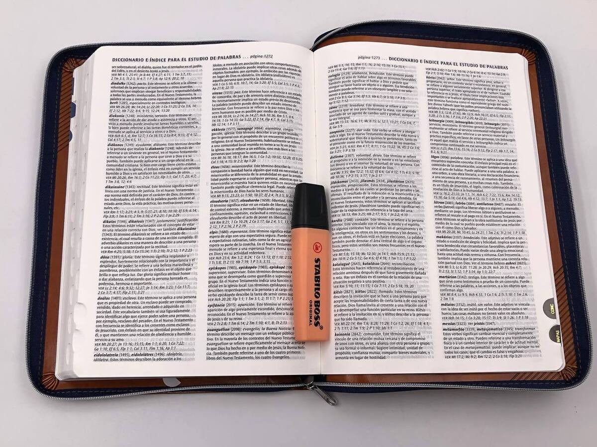 Biblia NTV Ultrafina Referencias Café