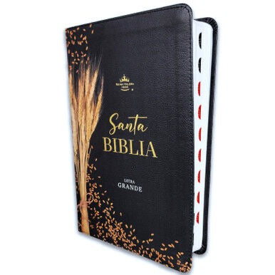 Biblia RVR60 Tamaño Manual Letra Grande 12 puntos negro indice