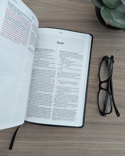 Biblia NTV Ultrafina negro simi peil