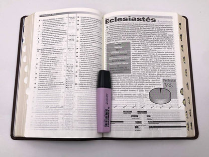 Biblia de estudio de la profecía Piel especial Marron indice