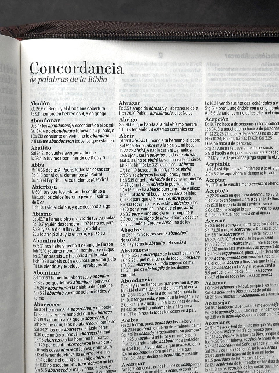 Biblia RVR60 Letra Súper Gigante 19 puntos con cierre indice