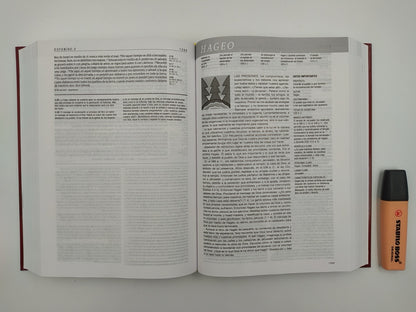 Biblia RVR 1960 de Estudio Diario Vivir Tinto Tapa Dura