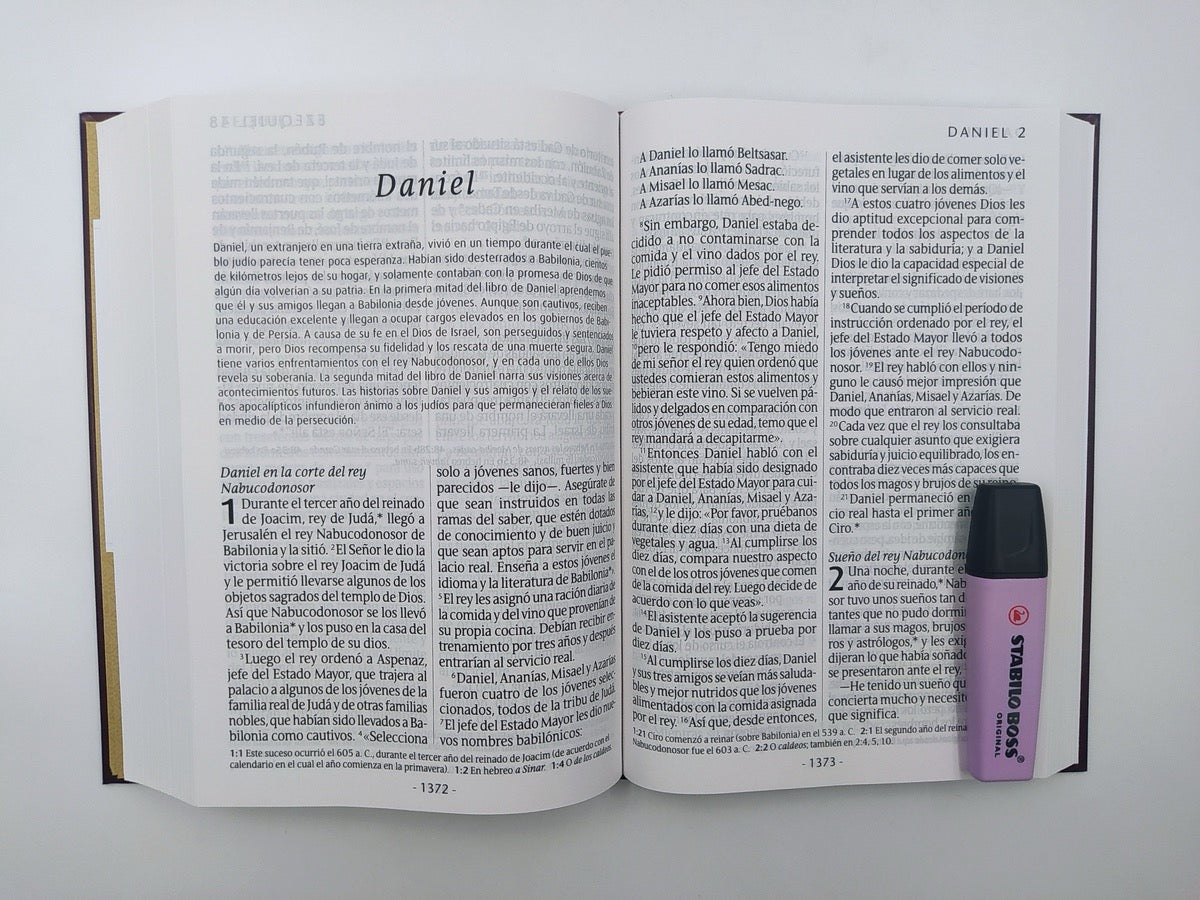 Biblia NTV Letra Súper Gigante Piel Vino