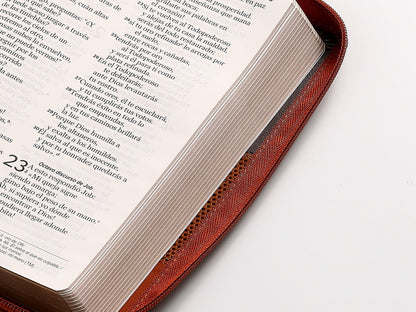 Biblia NVI Peninsular tamaño manual letra grande tricolor con cierre
