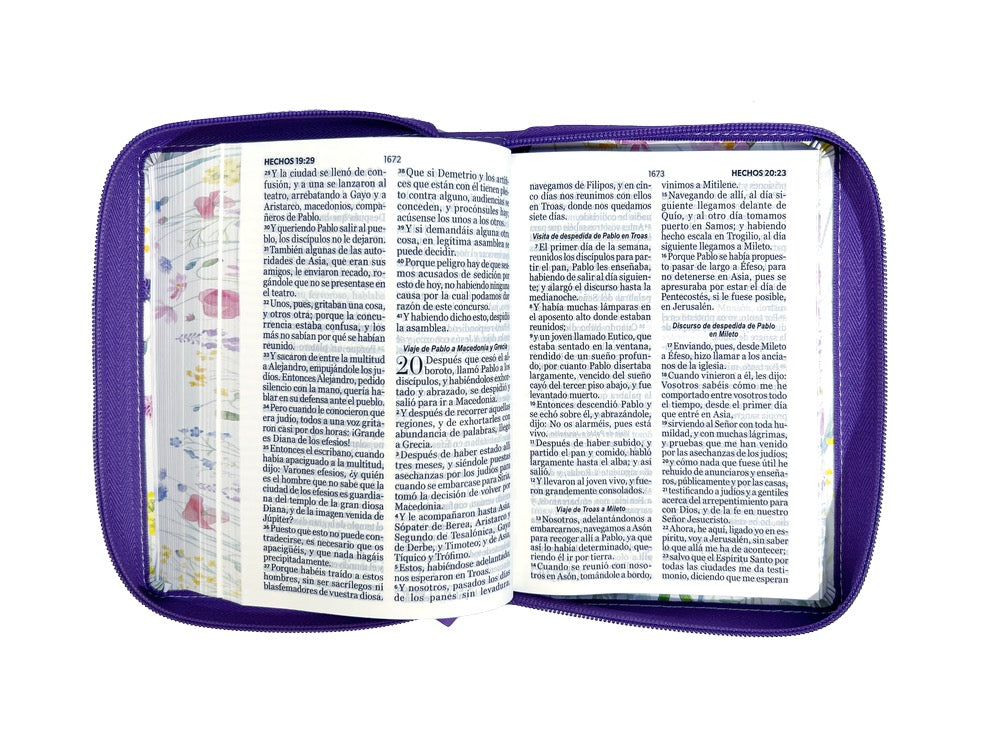 Biblia RVR 1960 Letra Grande Tamaño Manual lila
