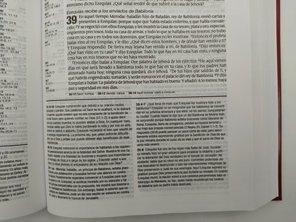 Biblia RVR 1960 de Estudio Diario Vivir Tinto Tapa Dura