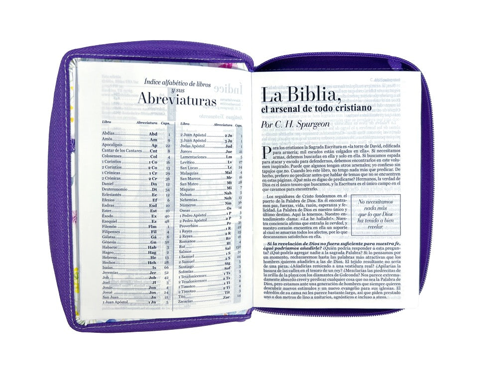 Biblia RVR 1960 Letra Grande Tamaño Manual lila