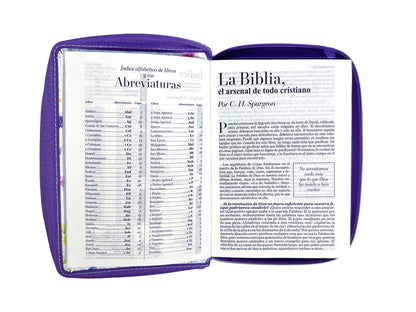 Biblia RVR 1960 Letra Grande Tamaño Manual lila