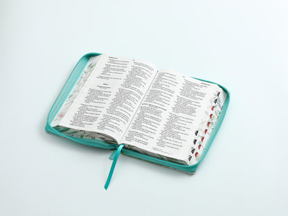Biblia RVR60 tamaño manual letra grande  con cierre índice canto pintado