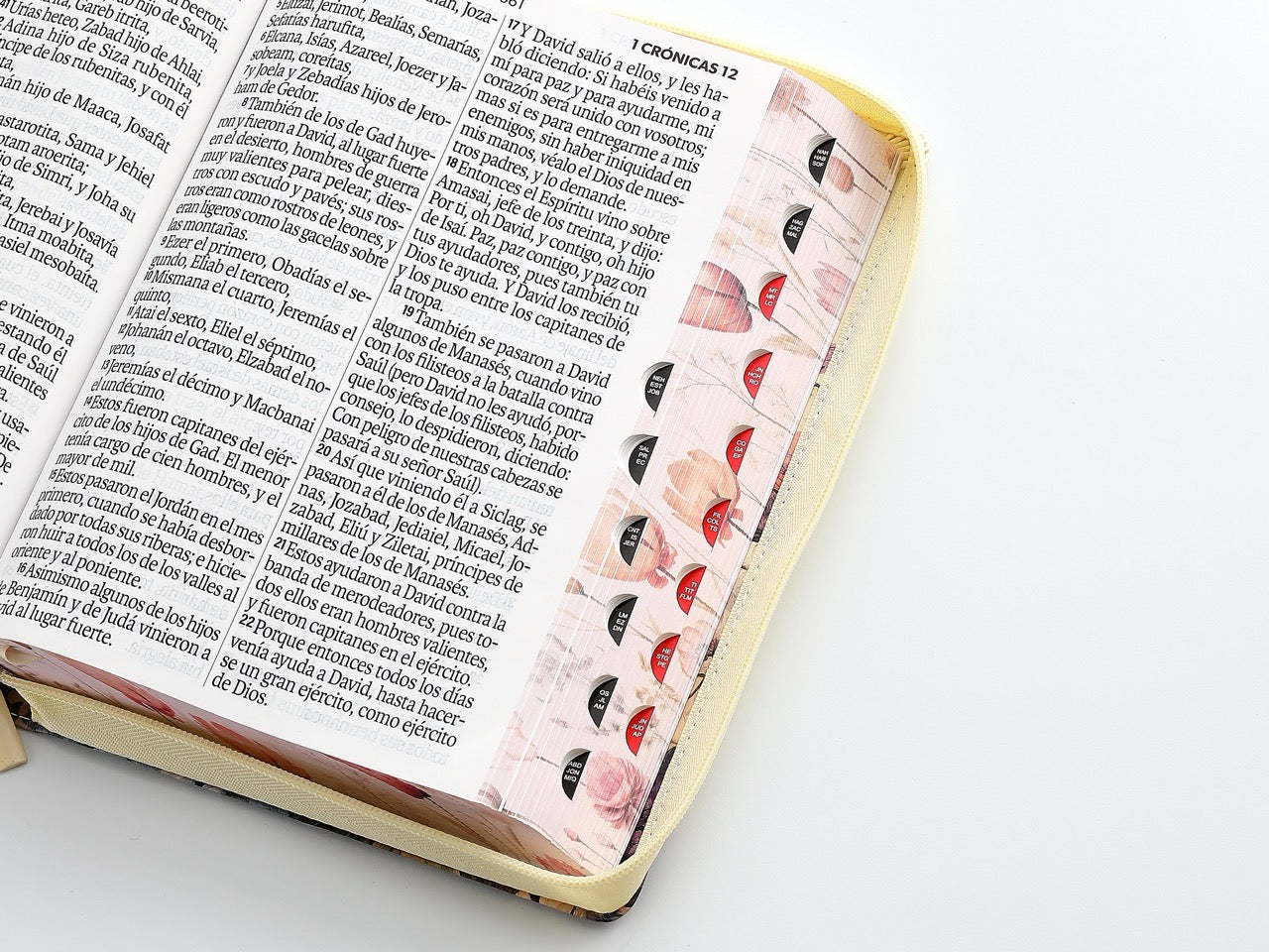 Biblia RVR60 Letra Súper Gigante floral