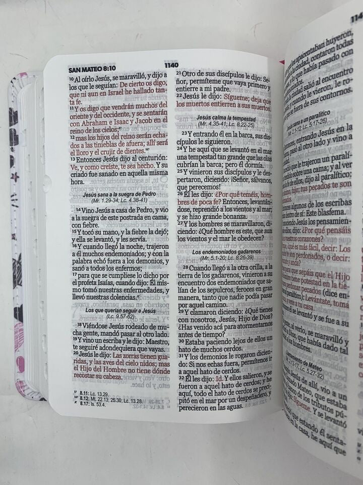Biblia RVR60 Bolsillo