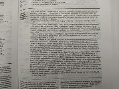 Biblia RVR 1960 de Estudio Diario Vivir Vino Tinto Tapa Dura