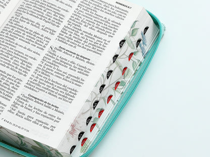 Biblia RVR60 tamaño manual letra grande  con cierre índice canto pintado