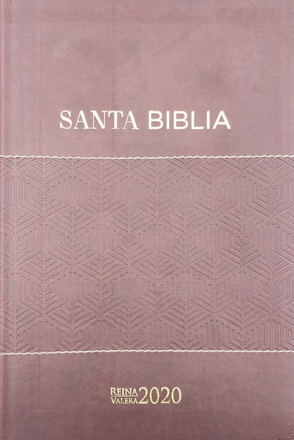 Biblia RVR2020 Tamaño Manual Letra Grande