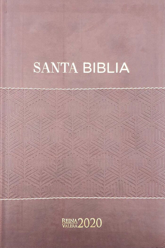Biblia RVR2020 Tamaño Manual Letra Grande